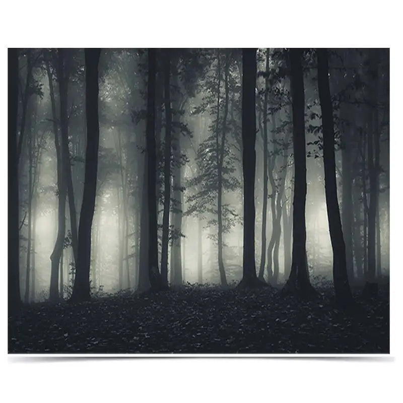 Misty forest with silhouetted trees for Natuur Behang Bos decor